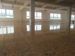 廈門滲透混凝土固化劑 磨石地面翻新